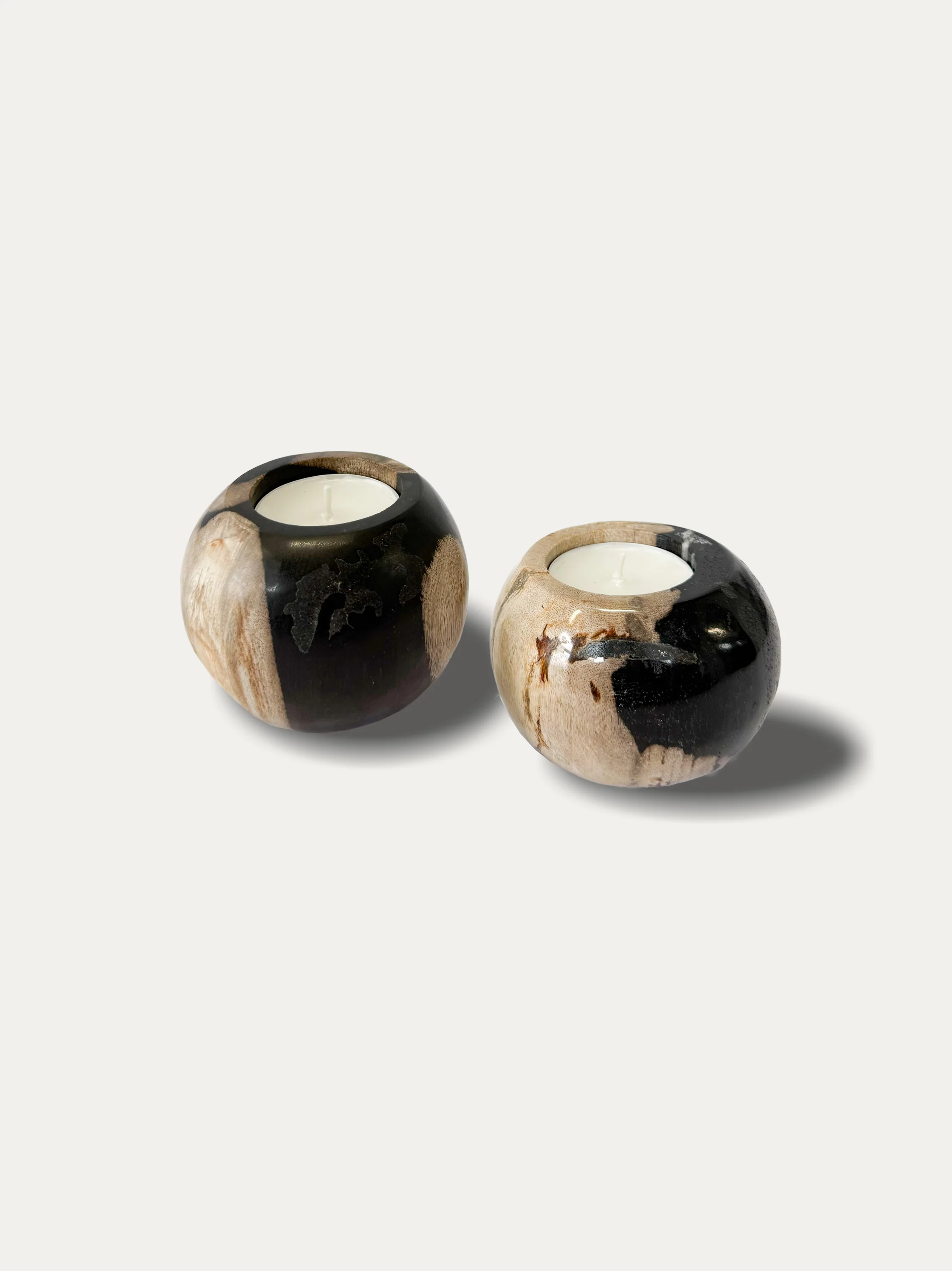 Petrified wood